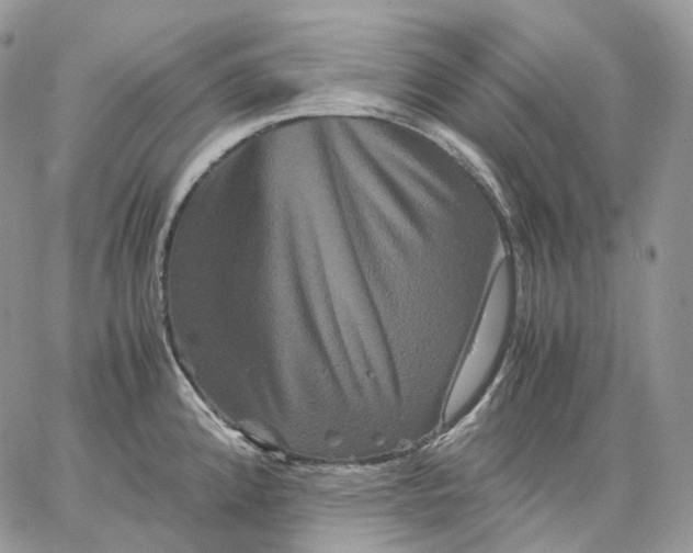 X0000062831192200602031529