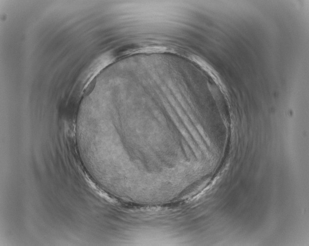 X0000062831193200602031529