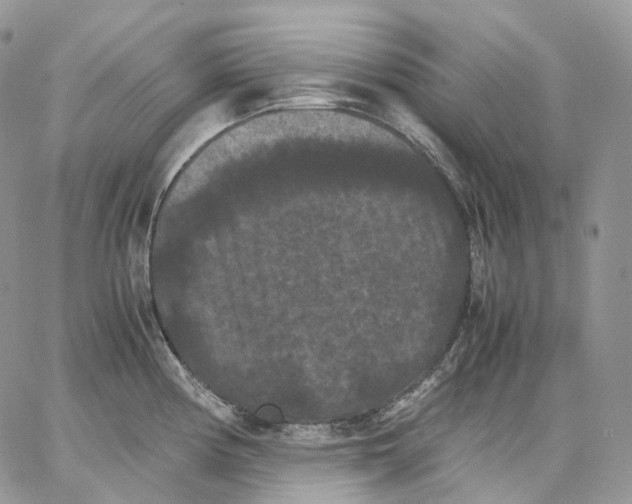 X0000062831194200602031529