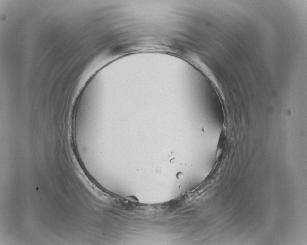 X0000062831195200602031529