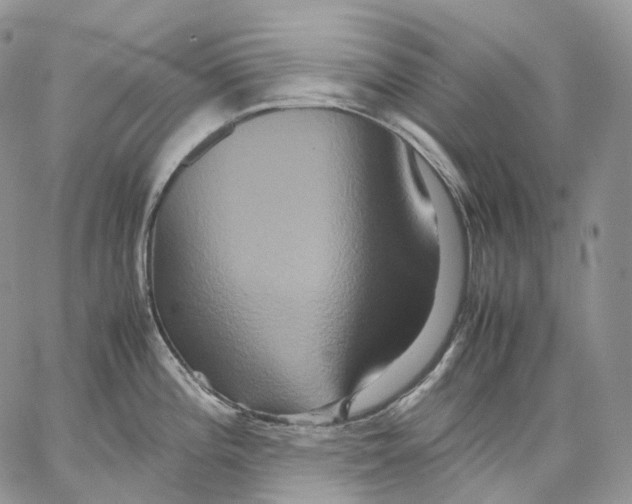 X0000062831196200602031529