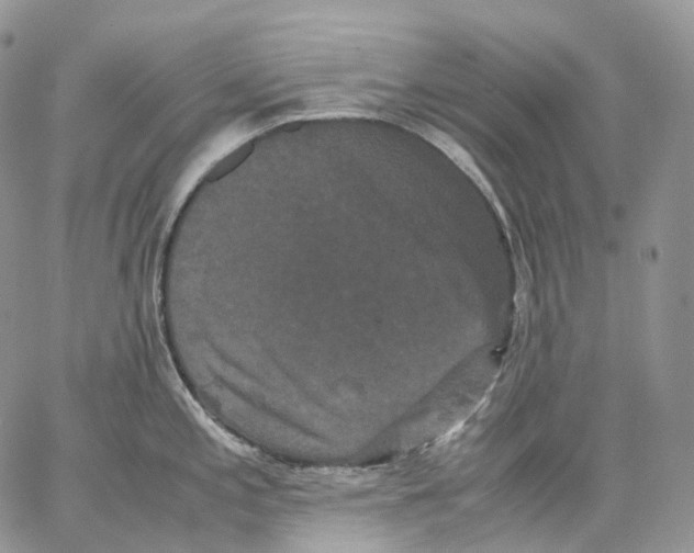 X0000062831197200602031529