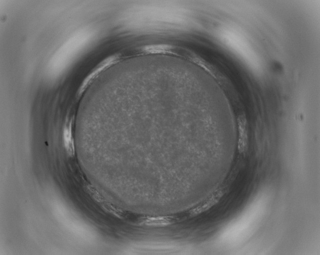 X0000062831198200602031529