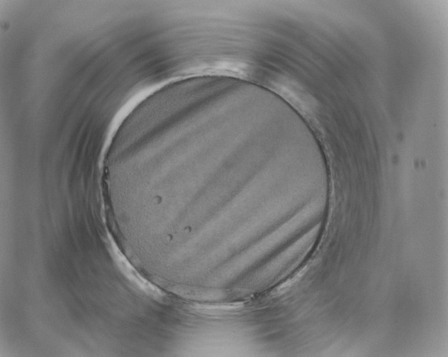 X0000062831200200602031529