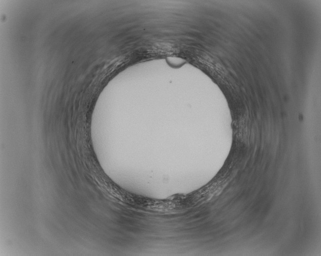 X0000062831201200602031528