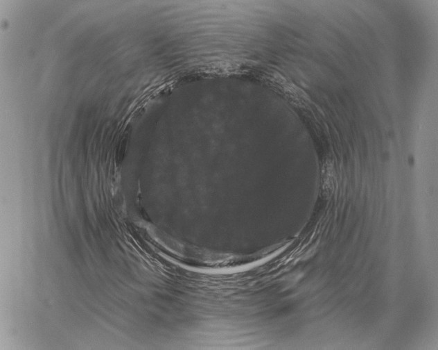 X0000062831202200602031528