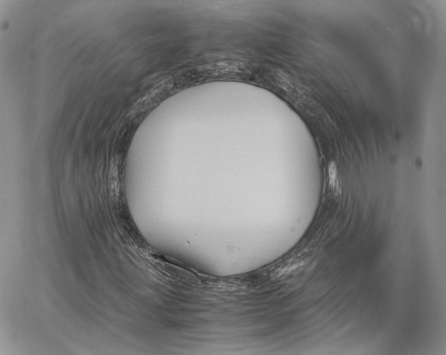 X0000062831203200602031528