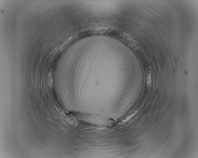 X0000062831204200602031528