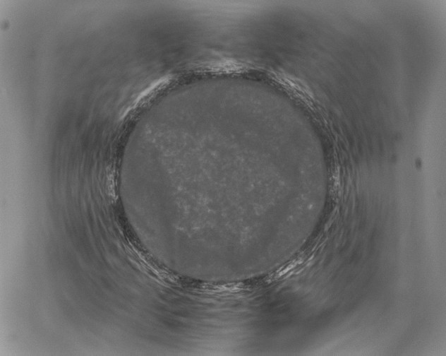 X0000062831205200602031528