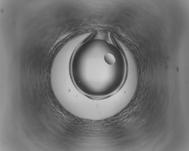 X0000062831206200602031528