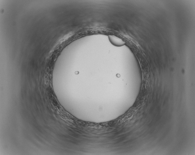 X0000062831207200602031528