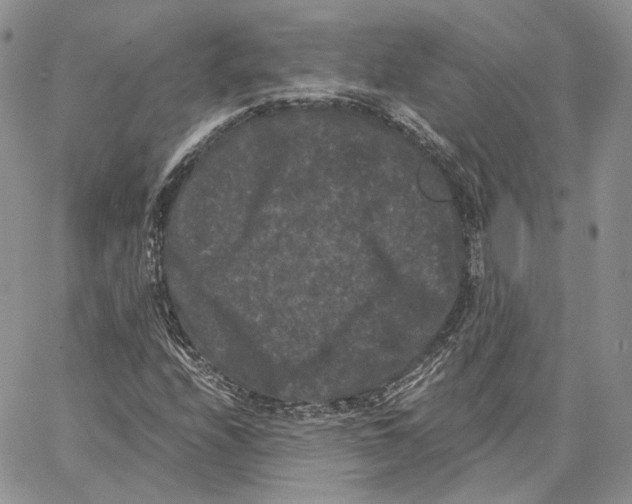 X0000062831208200602031528