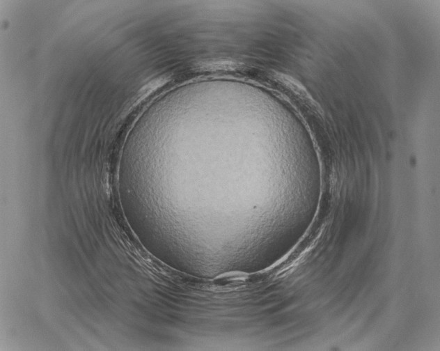 X0000062831209200602031528