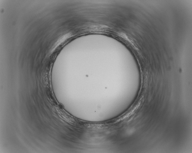 X0000062831211200602031528