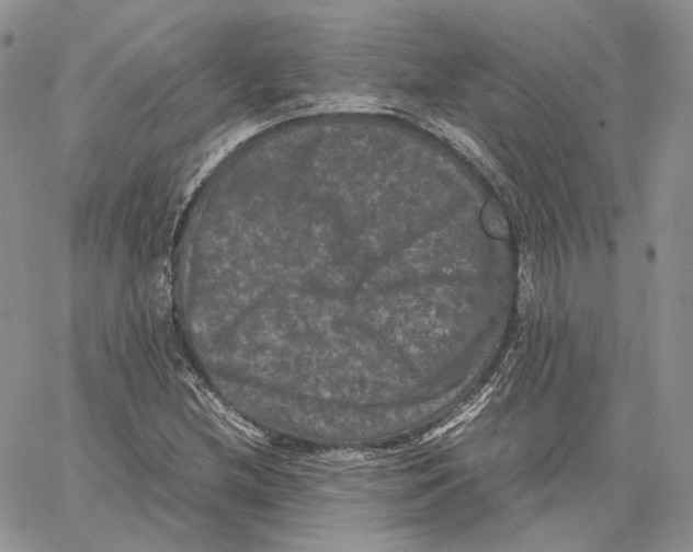 X0000062831212200602031528