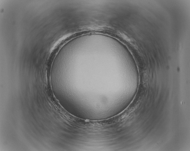 X0000062831214200602031529