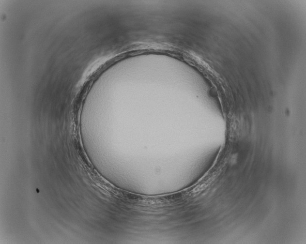 X0000062831215200602031529