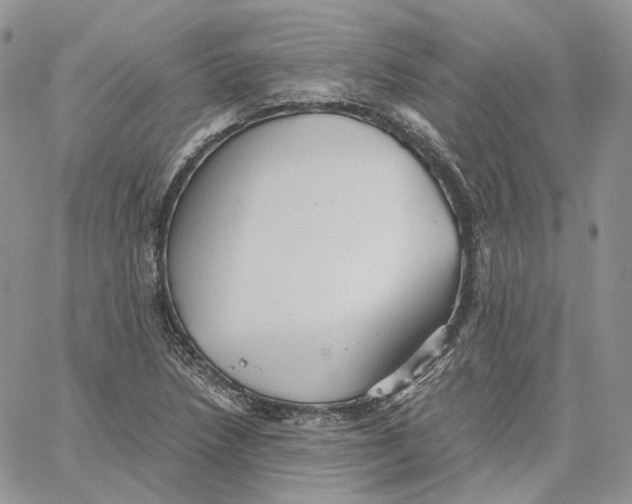 X0000062831218200602031529