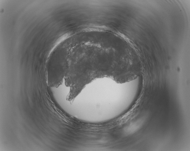 X0000062831219200602031529