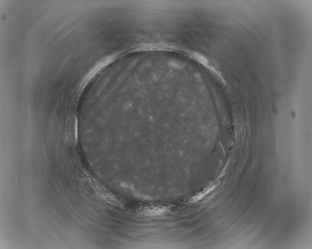 X0000062831221200602031529