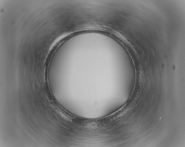 X0000062831222200602031529