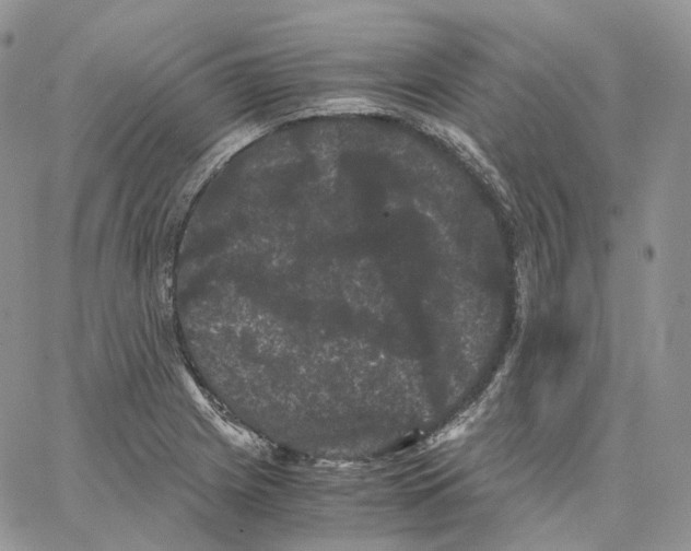 X0000062831225200602031529