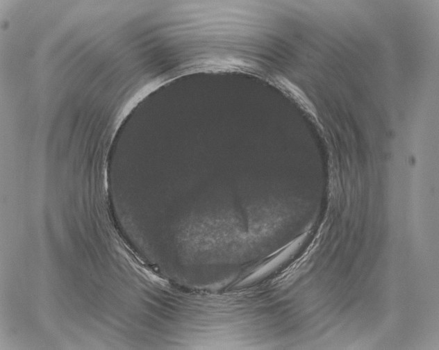 X0000062831226200602031529