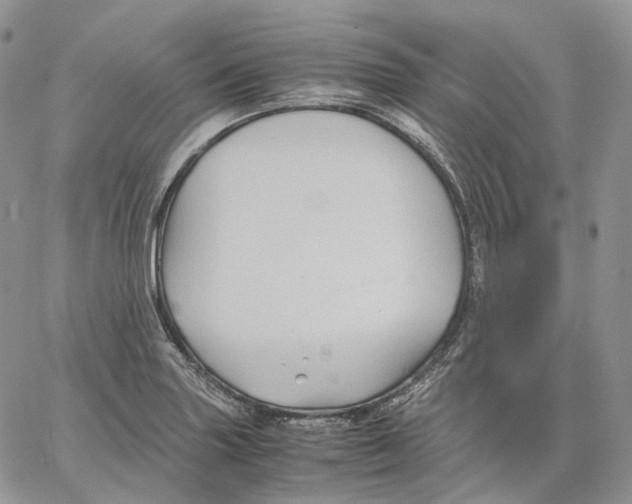 X0000062831227200602031529