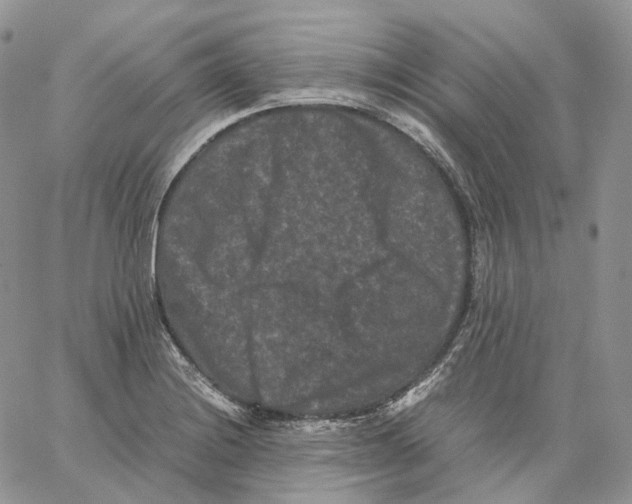 X0000062831228200602031529