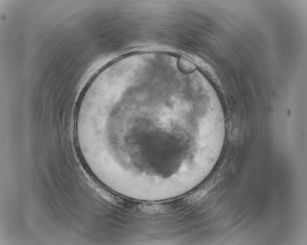 X0000062831231200602031529