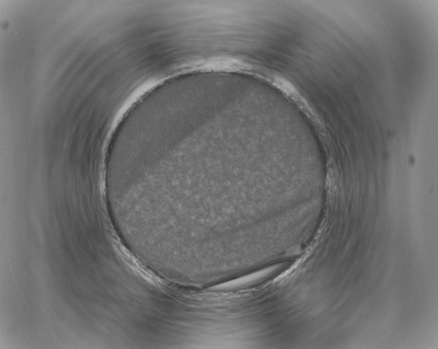 X0000062831232200602031529