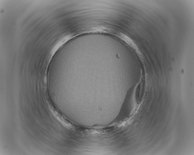 X0000062831234200602031529