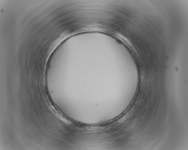 X0000062831236200602031529