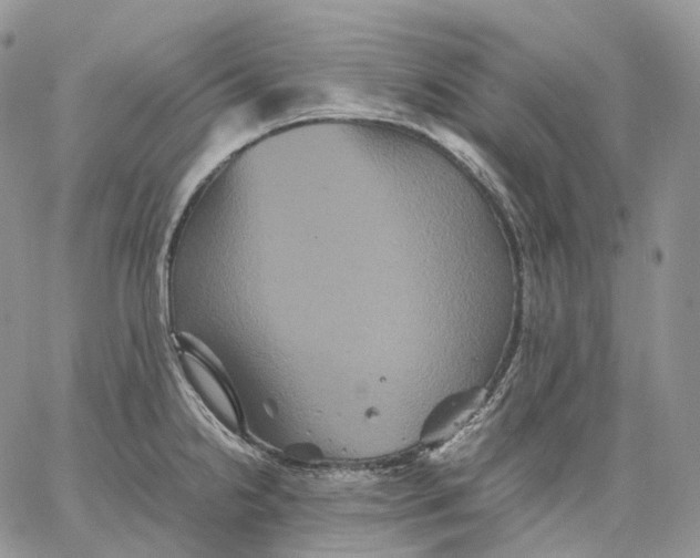 X0000062831238200602031529