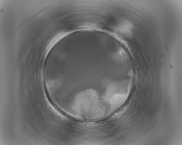 X0000062831239200602031529