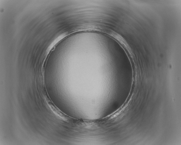 X0000062831242200602031529