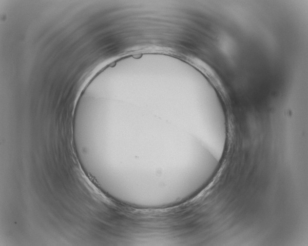 X0000062831244200602031529