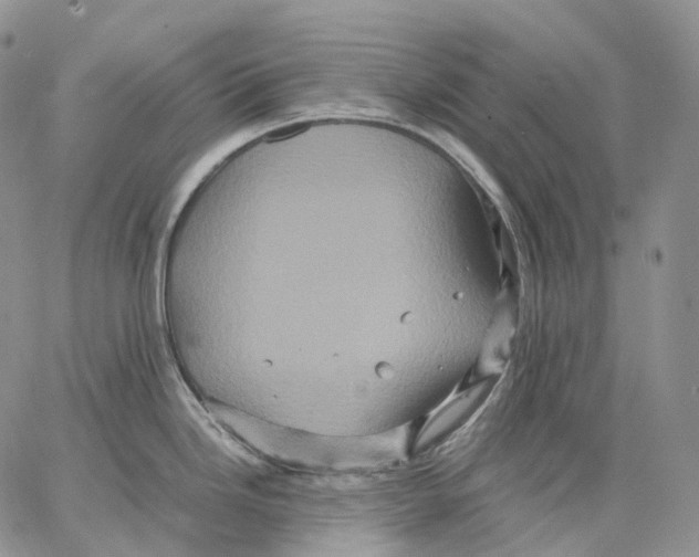 X0000062831246200602031529