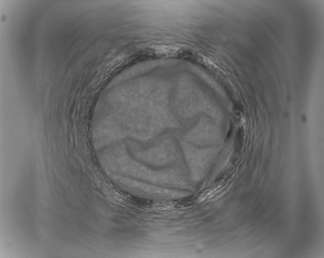 X0000062831249200602031528