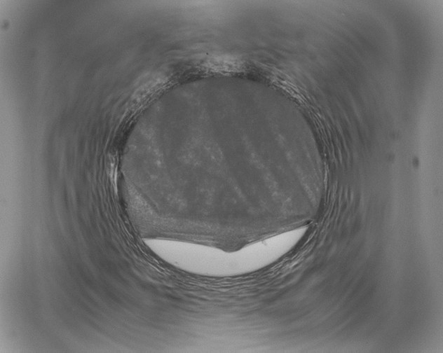 X0000062831251200602031528