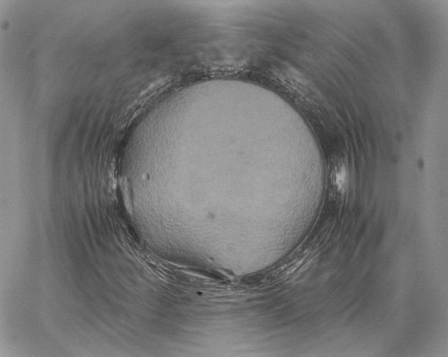 X0000062831252200602031528