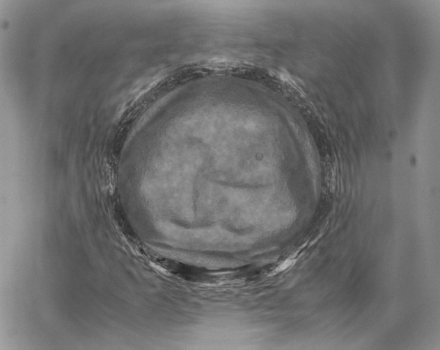 X0000062831253200602031528