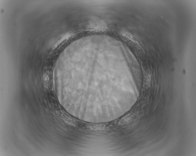 X0000062831254200602031528