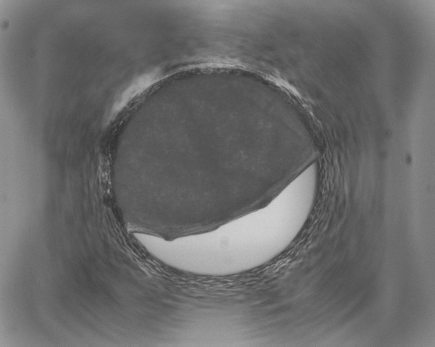 X0000062831255200602031528