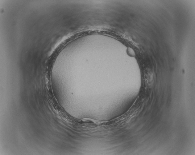 X0000062831256200602031528