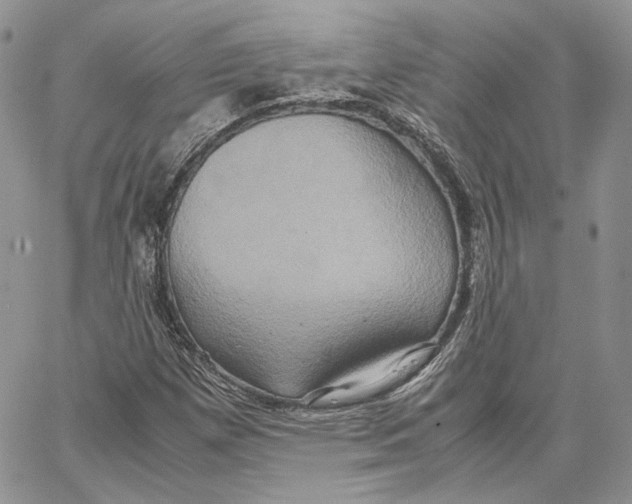 X0000062831257200602031528