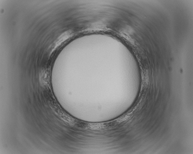 X0000062831258200602031528