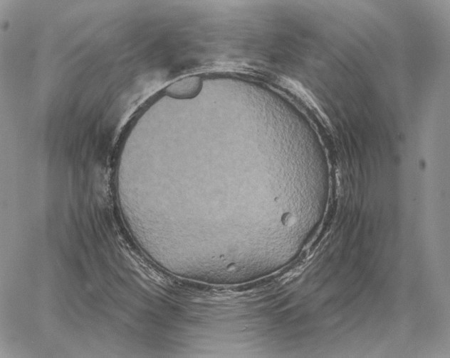 X0000062831260200602031528