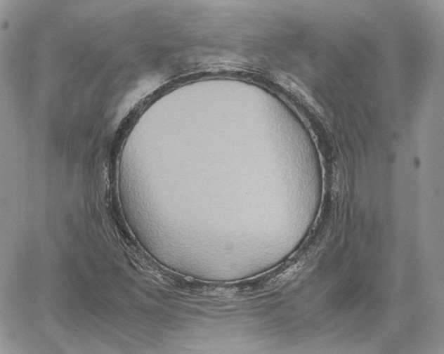 X0000062831261200602031528