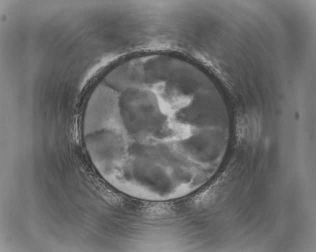 X0000062831262200602031528